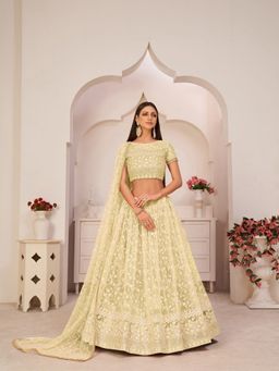 Odette - Lime Green Net Embroidered Semi Stitched Lehenga with Unstitched Blouse and Dupatta