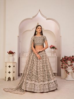 Odette - Dark Beige Net Embroidered Semi Stitched Lehenga with Unstitched Blouse and Dupatta