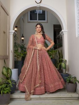 Odette - Dusty Rose Pink Net Embroidered Semi Stitched Lehenga with Blouse and Dupatta