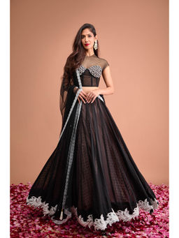 Aishwarya Tyagi - Organza Jamdani Cap Sleeve Blouse with Lehenga & Dupatta (Set of 3)