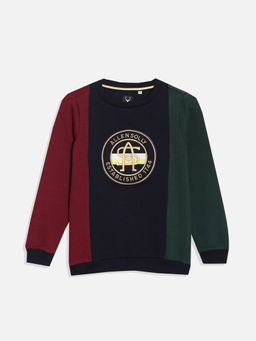 Allen Solly - Boys Multi Colorblock Regular Fit Sweatshirt