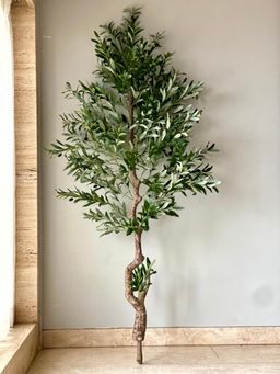 Mason Home - Artificial Evergreen Olive Plant Without Pot- 6.5 Feet (Set of 1)