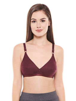 Bodycare - Pack Of 4 Full Coverage Bra - Multi-Color