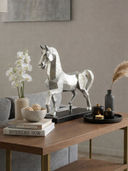 Silver color option, Currently selected