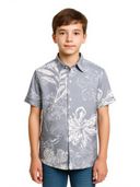 Grey color option, Currently selected