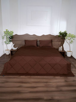 BELIHODE - All Season 300 TC Brown Pure cotton Comforter (King)