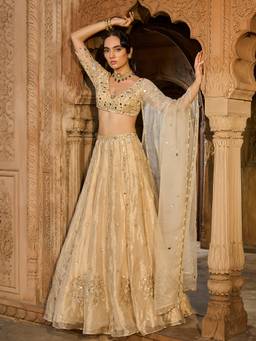 Zoon - Embroidered Gold Lehenga with Blouse and Dupatta
