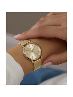 Timex - Round 38Mm Gold Dial Analog Women Watch (Tw2Y68900Uj) (M)