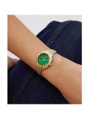 Green color option, Currently selected