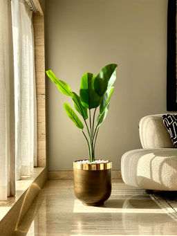 Mason Home - Minsk Planter Medium - Antique Brown