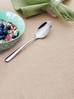 thinKitchen - 18 - 8 Stainless Steel Serving Spoon Mirror Finish Set of 2