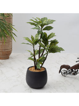 HomeTown - Ilana Faux Croton Ceramic Potted Plant 43 Cm in Green Colour