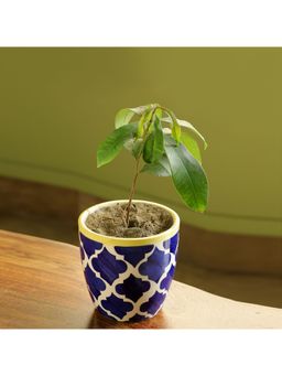 ExclusiveLane - 'The Morocco Pod' Handpainted Planter In Ceramic