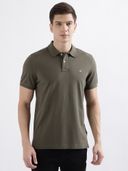 Olive color option, Sold out, Currently selected