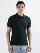 Green color option, Sold out, Currently selected