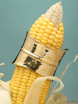 Moedbuille - Gold Brass Gold Plating Statement Bracelet