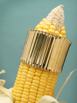 Moedbuille - Gold Brass Gold Plating Statement Bracelet