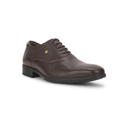 Hush Puppies - Men Formal Oxfords Brown