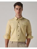 Mustard color option, Currently selected