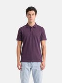 Purple color option, Sold out