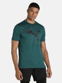 Teal color option, Sold out