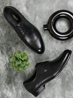 Cobblerz - Men Black Solid Derbies