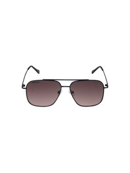 Fastrack - Brown Navigator Sunglasses for Unisex
