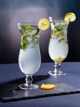 Trovea's - Set of 4 Fountain Cocktail Glass 480 Ml