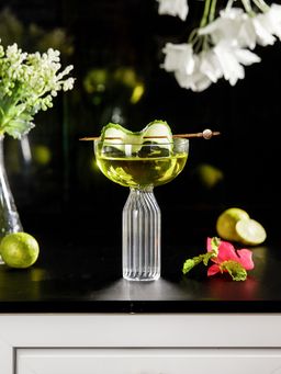 Trovea's - Cocktail Coupe Glass 180 Ml Set of 4