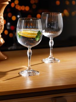 Trovea's - Botanical Bliss Gin Balloon Glass Set of 2 745 Ml