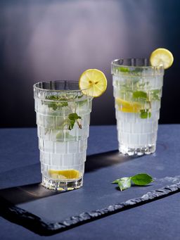 Trovea's - Crystal Helix Highball Glass - Italian Crystal - Set of 4