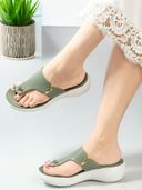 Olive 0