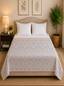 model detail