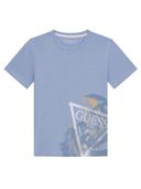 Blue color option, Currently selected
