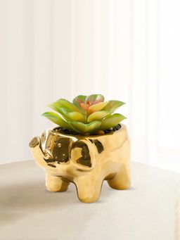Ekhasa - Succulent Artificial Plants For Home Decor with Pot