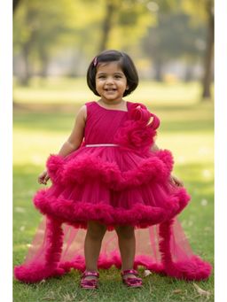 Lagorii - Girls Pink Net Embellished Dress with Tailback