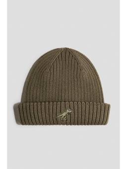 H&M - Boys Olive Appliqued Beanie