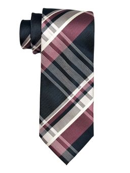 The Tie Hub - Men Multi-Color Checkered Bamboo Silk Necktie