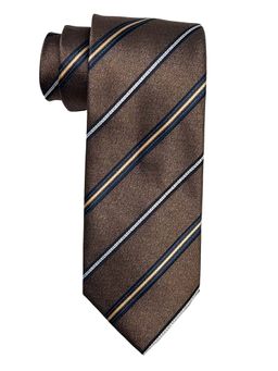 The Tie Hub - Men Brown Striped Bamboo Silk Necktie