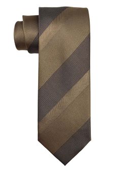 The Tie Hub - Men Brown and Beige Colorblock Bamboo Silk Necktie