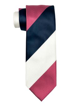 The Tie Hub - Men Multi-Color Colorblock Bamboo Silk Necktie
