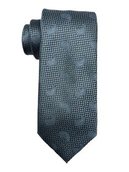 The Tie Hub - Men Teal Textured Bamboo Silk Necktie
