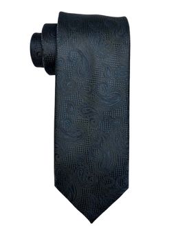 The Tie Hub - Men Navy Blue Paisley Bamboo Silk Necktie