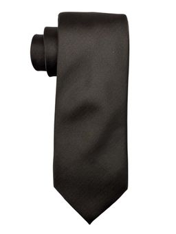 The Tie Hub - Men Brown Bamboo Silk Necktie