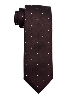 The Tie Hub - Men Maroon Polka Dot Bamboo Silk Necktie