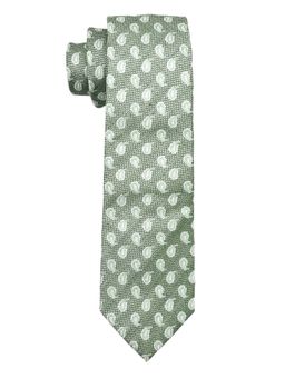 The Tie Hub - Men Green Textured Bamboo Silk Necktie