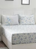 Blue color option, Currently selected