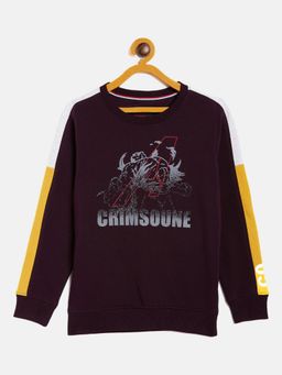 CRIMSOUNE CLUB - Boy Purple Printed Round Neck Sweatshirt