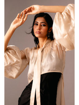 VANSHIKA AGARWAL LABEL - Black Willow Satin Dress