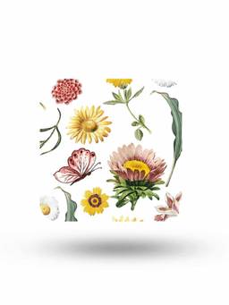 Macmerise - SK Spring Time Pattern Square Coaster